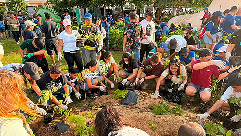 5,000 seedlings bagged at Garden of Love to mitigate urban heat