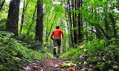 1st Kadayawan trail run attracts nearly 3K professional, amateur participants