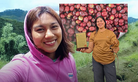 Princess Dian Tapdasan (lower right) shows the plaque she received from the Southeast Asia (SEA) Green Coffee Competition 2026-Arabica Category. After placing in the Philippines National Round, she became one of the finalists who will represent the country in the regional competition in Vietnam. Roxanne Abegail Naya (left) takes her photo with their coffee farm in the background. Naya placed in the top 2 as Best Processed Arabica-Naturals during the recently-concluded Philippine Coffee Quality Competition (PCQC) 2026, with an award-winning mixture featuring notes of caramel, cocoa, Mandarin orange, plums, honey, and florals, scoring 85.61 in the competition. The award-winning Arabica coffee beans of Balutakay Coffee Farmers Agriculture Cooperative.