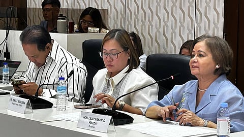 Photos courtesy of Vice Governor Delta Pineda