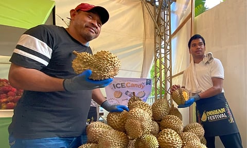 Vendors showcase fresh durian at the opening of the Durian Festival at SM Lanang on August 7, 2026. Department of Agriculture-Davao Region (DA-Davao) Regional Executive Director Macario D. Gonzaga announced that following a successful 1.08-metric-ton trial shipment of Davao durian to Oman earlier this year, the region is actively laying the groundwork to expand exports of durian and other "champion commodities"—including Cardava bananas, sweet potatoes, and jicama—into European markets such as Switzerland.