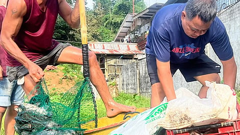 Mafar-Barmm assistance boost Lanao Sur fisherfolks livelihood