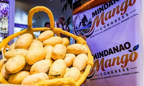 A large native woven basket brimming with freshly harvested Carabao mangoes is displayed alongside promotional materials during the official opening of the 2nd Mindanao Mango Congress. The three-day convention, running from August 12 to 14, 2026, has convened approximately 300 agricultural producers, exporters, researchers, and government stakeholders at a local venue to establish long-term development roadmaps.