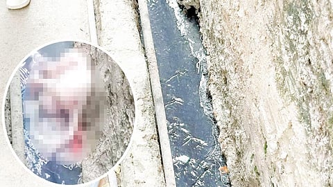 Bag-ong himugso 'gilabay' sa kanal