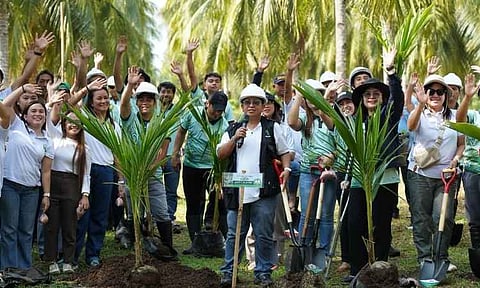 Over 1K coconut seedlings planted across Davao Region