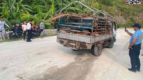 Moalboal police intercept truck carrying 60 live hogs amid Cebu ASF ban