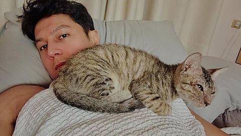 Joseph Marco has 19 rescued cats