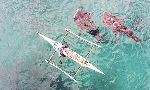 Tieza tourism investments hit P14.5B