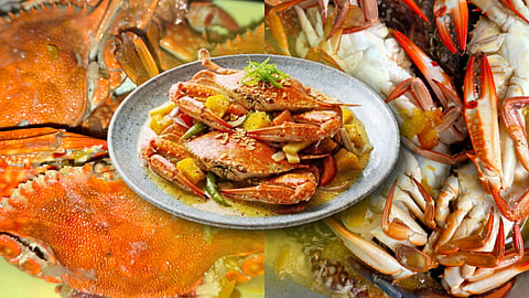 Good things come in hard shells the sweet reward of eating 'lambay'