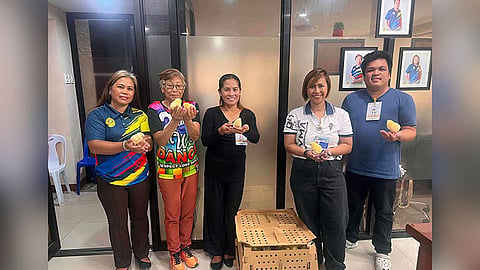3 ka upland barangay nasudlan og ASF, 14 ka baboy patay; laing 52 naapektuhan