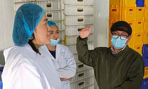MARKET LINK. Mindanao Development Authority Assistant Secretary Romeo Montenegro gestures while discussing the processing and export of steamed saba bananas during a facility visit in Davao City. Golden Flavours Pastries and Gourmet Inc. shipped its first seven-ton trial shipment to Sydney, Australia, linking local banana growers to an overseas market.
