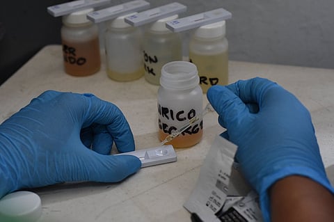10ID soldiers test negative of illegal drug use