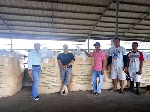 From left: PVO Farm Management Division head Dr. Placeda Lemana with NFR farm manager Regen Besa, Agriculturist II Jesus Villanueva and two farm personnel at the silage production area of NFR in Barangay Sta. Rosa in Murcia. (Contributed Photo)