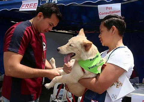 Bacolod health office urges stronger pet ownership drive