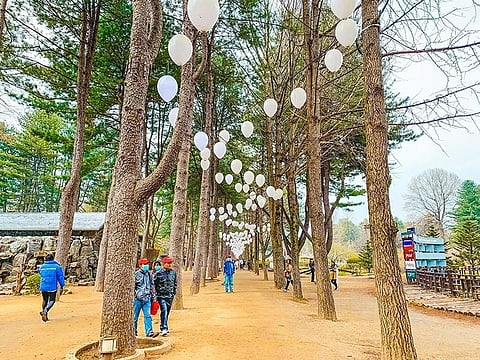 NAMI ISLAND. A whimsical moon-shaped fairy land.
