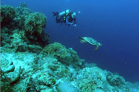 RECOGNITION. The town of Moalboal, located down south of Cebu, is famous for diving. The Philippines has obtained several awards in 2019. One of them is the World’s Leading Dive Destination at the 2019 World Travel Awards.