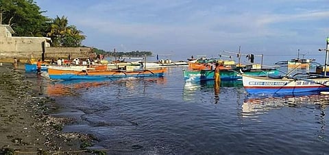 CAGAYAN DE ORO. With all the risks that they undertake, ordinary fishermen could only earn a little with the price of tamban (sardines) fish dropping to an all-time low of P10 per kilo with the dominant presence of big commercial vessels. (Lynde Salgados)