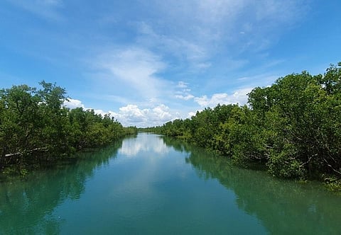 AKLAN. Bakhawan Eco-Park. (Photo by Jun N. Aguirre)