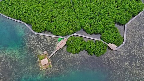 Photo from Northern Samar Provincial Information Office