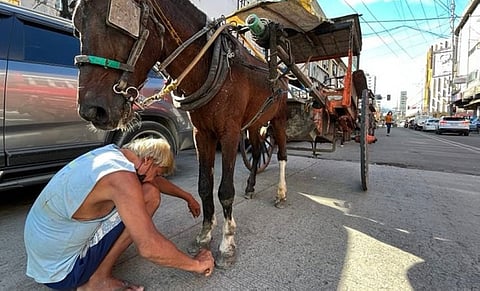 Operasyon sa tartanilla sa Cebu City buhion og balik