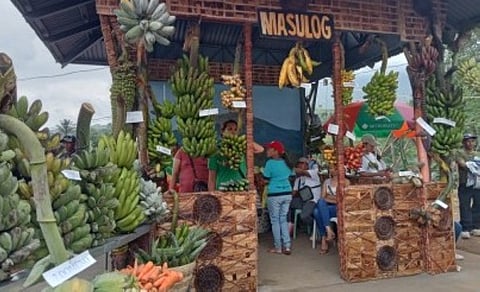 BANANA FESTIVAL. Barangay Masulog displays several banana varieties in the ongoing Banana Festival of La Castellana town in Negros Occidental. The five-day event, which kicked off Saturday (April 1, 2023) and was held for the first time at the Mandayao Panorama Park, shows how local growers have bounced back after their farms were destroyed by Typhoon Odette in December 2021.
