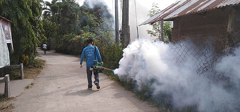 Dengue cases on the rise