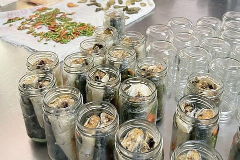 Sardines bottling