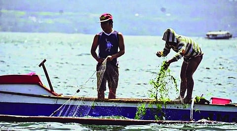 AT A DISADVANTAGE. A fisherfolk group says the proposal will put municipal fishers at a disadvantage since they can't compete with their industrial counterparts, which have bigger vessels.