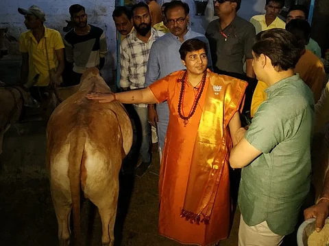 ഗോമൂത്രം കുടിച്ചാണ് സ്തനാര്ബുദം മാറ്റിയതെന്ന് സാധ്വി പ്രഗ്യാസിങ്; ആരോഗ്യപ്രശ്നങ്ങളിലാണ് ജാമ്യമെന്ന് ഓര്മ്മിപ്പിച്ച് സോഷ്യല്മീഡിയ