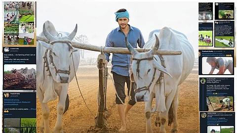 പടം കണ്ടില്ലേ ഇനി പാടത്തിറങ്ങാം, അഗ്രിക്കള്ച്ചര് ചലഞ്ചുമായി മഹര്ഷിയും മഹേഷ് ബാബുവും