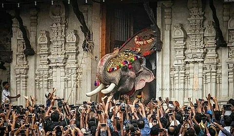 മോട്ടി പ്രസാദെന്ന ബിഹാറി,ഒച്ച കൂടിയാല് ഇടയുന്ന തെച്ചിക്കോട്ട് രാമചന്ദ്രന്;ആരാധകര്ക്ക് ഏകഛത്രാധിപതി