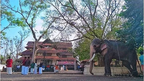 തൃശൂര് പൂരത്തിലും രാഷ്ട്രീയ നേട്ടമുണ്ടാക്കാന് ബിജെപി, തെച്ചിക്കോട്ടുകാവ് രാമചന്ദ്രന്റെ വിലക്കില് പ്രക്ഷോഭത്തിനൊരുക്കം