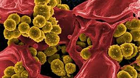 മലപ്പുറത്തെ ഡിഫ്തീരിയ മരണം, കുട്ടിക്ക് പ്രതിരോധ കുത്തിവെപ്പ് നല്കാന് വീട്ടുകാര് അനുവദിച്ചില്ലെന്ന് ആരോഗ്യവകുപ്പ്