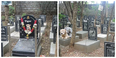 അരുമകള്ക്കായ് ഒരു സെമിത്തേരി ; കരളലിയിക്കും കല്ലറയിലെ കുറിപ്പുകള്