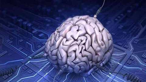 എങ്ങനെയാണ് ഇന്റര്നെറ്റ് തലച്ചോറിന്റെ പ്രവര്ത്തനത്തെ ബാധിക്കുന്നത്?