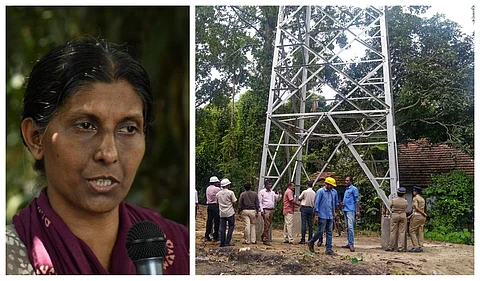 ശാന്തിവനത്തില് കെഎസ്ഇബിക്കെതിരെ പിന്നോട്ടില്ല ; അടുത്ത പടി നിയമ പോരാട്ടത്തിന് മീന മേനോന്