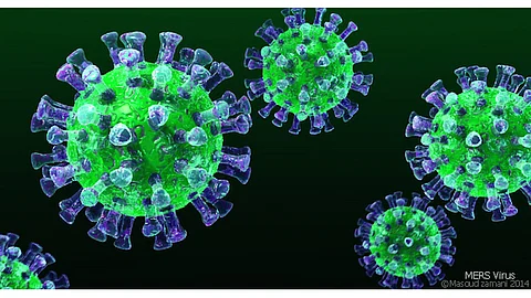 എറണാകുളത്തെ രോഗിക്ക് നിപയെന്ന് സംശയമെന്ന് ആരോഗ്യമന്ത്രി, കൊച്ചിയില് ഉന്നതതല യോഗം
