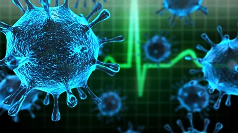 എറണാകുളത്ത് നിപ സ്ഥിരീകരിച്ചിട്ടില്ലെന്ന് ജില്ലാ കലക്ടര്, മൂടിവെക്കില്ലെന്ന് ആരോഗ്യവകുപ്പ് ഡയറക്ടര്