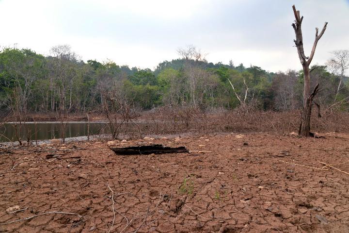 അണക്കെട്ടുകളില് 20 ശതമാനം വെള്ളം മാത്രം; മഴ ശക്തമായില്ലെങ്കില് കാത്തിരിക്കുന്നത് വരള്ച്ചയും വൈദ്യുതിക്ഷാമവും