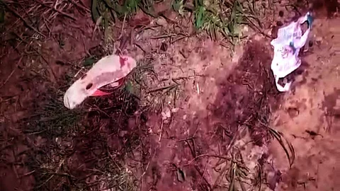 200 ആളുകള്, 32 ട്രാക്ടര്; യുപിയില് ഗ്രാമത്തലവന് 10 ആദിവാസി കര്ഷകരെ കൂട്ടക്കൊല ചെയ്തതിങ്ങനെ