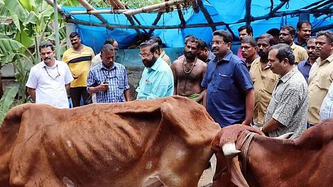 കടകംപള്ളി സുരേന്ദ്രന് 