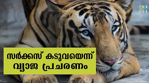 ടൈഗര് റിസര്വാക്കാന് ‘സര്ക്കസിലെ കടുവ’യെ ഇറക്കിയെന്ന് വയനാട്ടില് വ്യാജപ്രചരണം