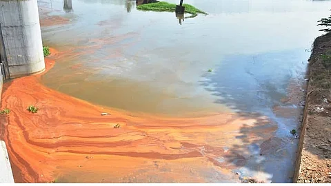 പെരിയാര് മലിനമാക്കുന്നവരുടെ പട്ടിക തയ്യാറാക്കണം, നഷ്ടപരിഹാരം ഈടാക്കണമെന്നും ദേശീയ ഹരിത ട്രൈബ്യൂണല്