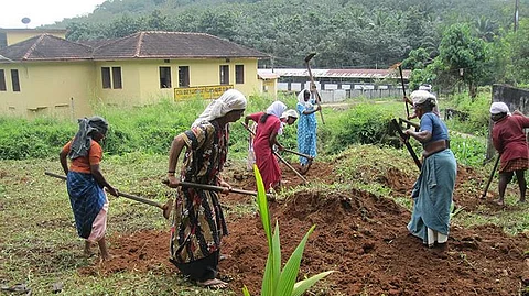 കേന്ദ്രം തൊഴിലുറപ്പ് നിര്ത്തിയാല് കേരളത്തില് ജീവിതംമുട്ടുക 13 ലക്ഷം വൃദ്ധര്ക്ക്; തൊഴിലുറപ്പിനെ ആശ്രയിക്കുന്നത് 58 ലക്ഷം പേര്