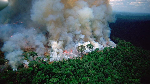 ആമസോണ് നഷ്ടപ്പെടുന്നത് എന്നെന്നേക്കുമായി, വീണ്ടെടുക്കല് അസാധ്യം
