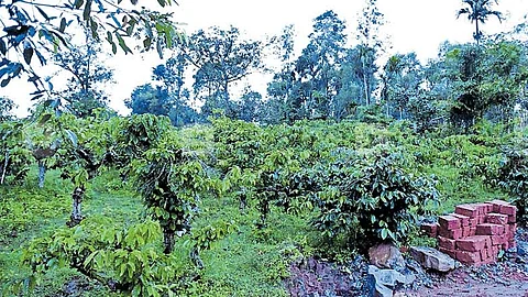രണ്ടാം പ്രളയത്തിലും പഠിച്ചില്ല; വയനാട് പരിസ്ഥിതിലോല പ്രദേശത്ത് മെഡിക്കല് കോളേജ് നിര്മ്മിക്കാന് നീക്കം; സൗജന്യഭൂമി വേണ്ടെന്ന് വെച്ചു