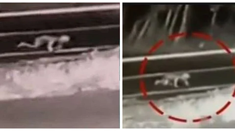 ‘സുരക്ഷ ഉറപ്പാക്കിയില്ല’; കുഞ്ഞ് ജീപ്പില് നിന്നും വനത്തില് വീണ സംഭവത്തില് മാതാപിതാക്കള്ക്കെതിരെ കേസ്