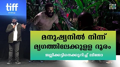 ‘അഭിനേതാക്കളോട് പറഞ്ഞത് മൃഗങ്ങളേ പോലെ പെരുമാറാന്’; മനുഷ്യനും മൃഗവും തമ്മിലുള്ള ദൂരമില്ലാതാകുന്നതാണ് ജല്ലിക്കട്ടെന്ന് ലിജോ