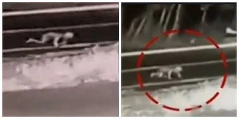 കുഞ്ഞ് റോഡില് വീണത് വന്യജീവികളുടെ സാന്നിധ്യം കൂടുതലുള്ള ഇടത്ത്; രക്ഷിതാക്കളറിയുന്നത് 50 കിലോ മീറ്റര് പിന്നിട്ട് വീടെത്തിയപ്പോള്