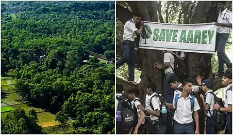 മുറിക്കുന്നത് ‘മുംബൈയുടെ ശ്വാസകോശം’; മെട്രോയുടെ മരംമുറിക്കെതിരെ പ്രതിഷേധം ശക്തം